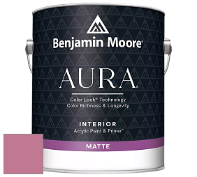 Benjamin Moore Aura 522 Interior Paint - Matte краска цвет 2080-40 Wild Pink