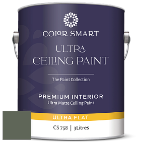 COLOR SMART CS 758 ULTRA CEILING PAINT ультраматовая краска цвет AF-480 