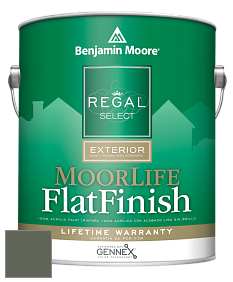 Benjamin Moore W105 Regal Select Exterior Paint-MoorLife Flat Finish краска цвет AF-480 