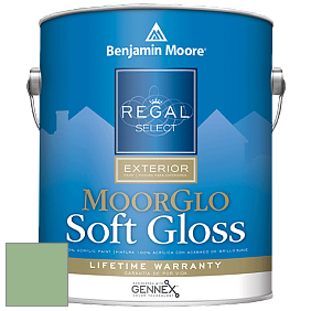 Benjamin Moore W096 Regal Select Exterior Paint-Moor GloSoft Gloss Finish краска цвет 564 Gumdrop