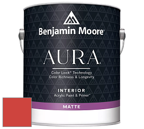 Benjamin Moore Aura 522 Interior Paint - Matte краска цвет 2012-10 Tawny Day Lily
