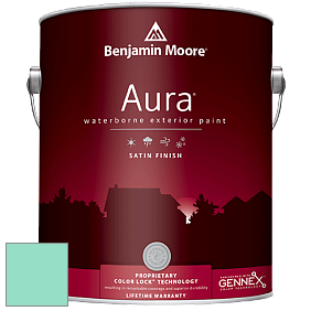 Benjamin Moore Aura 631 Waterborne Exterior Satin Finish краска цвет 2042-50 Caribe Green