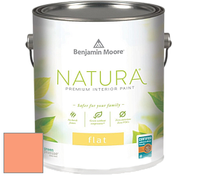 Benjamin Moore 512 Natura Interior Flat Finish матовая краска цвет NCS S 0550-Y60R 