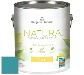 Benjamin Moore 512 Natura Interior Flat Finish матовая краска цвет 754 Wilmington Spruce