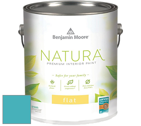 Benjamin Moore 512 Natura Interior Flat Finish матовая краска цвет 760 Baltimore Sky