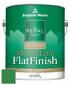 Benjamin Moore W105 Regal Select Exterior Paint-MoorLife Flat Finish краска цвет 2037-20 Jade Green