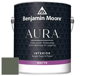 Benjamin Moore Aura 522 Interior Paint - Matte краска цвет AF-480 
