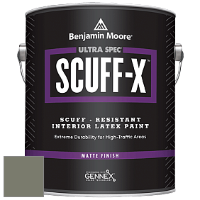 Benjamin Moore 484 Ultra Spec SCUFF-X Interior Matte Finish краска цвет RAL 7003 