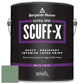 Benjamin Moore 484 Ultra Spec SCUFF-X Interior Matte Finish краска цвет 635 Parsley Snips