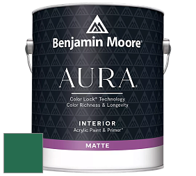 Benjamin Moore Aura 522 Interior Paint - Matte краска цвет 2044-10 Green