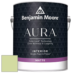 Benjamin Moore Aura 522 Interior Paint - Matte краска цвет 2029-50 Potpourri Green