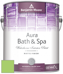 Benjamin Moore Aura 532 Bath & Spa Waterborne Interior Paint Matte Finish краска цвет NCS S 0560-G30Y 