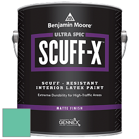 Benjamin Moore 484 Ultra Spec SCUFF-X Interior Matte Finish краска цвет 2043-40 Egyptian Green
