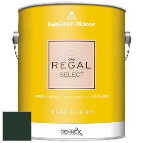 Benjamin Moore 547 Regal Select Waterborne Interior Flat Finish краска цвет RAL 6009 