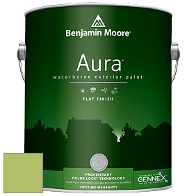 Benjamin Moore Aura 629 Waterborne Exterior Flat Finish краска цвет 412 Springhill Green