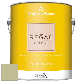 Benjamin Moore 547 Regal Select Waterborne Interior Flat Finish краска цвет NCS S 2020-G60Y 