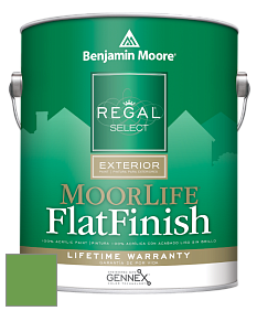 Benjamin Moore W105 Regal Select Exterior Paint-MoorLife Flat Finish краска цвет 560 Sullivan Green