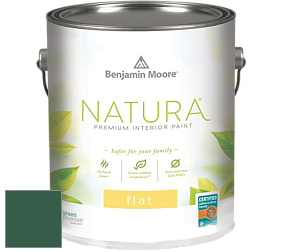 Benjamin Moore 512 Natura Interior Flat Finish матовая краска цвет NCS S 6030-G 