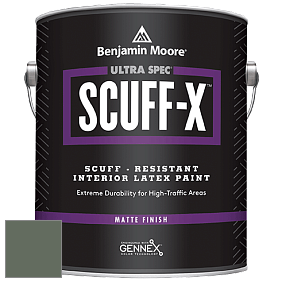 Benjamin Moore 484 Ultra Spec SCUFF-X Interior Matte Finish краска цвет 447 Holiday Wreath