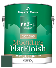 Benjamin Moore W105 Regal Select Exterior Paint-MoorLife Flat Finish краска цвет 2052-10 Ocean Tropic