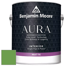Benjamin Moore Aura 522 Interior Paint - Matte краска цвет 560 Sullivan Green
