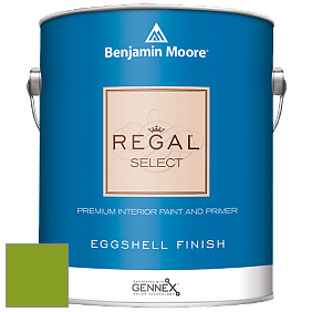 Benjamin Moore 549 Regal Select Waterborne Interior Eggshell Finish краска цвет 2028-10 Iguana Green
