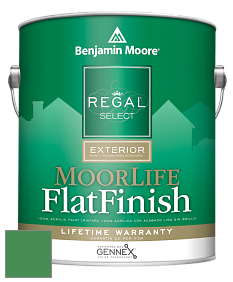 Benjamin Moore W105 Regal Select Exterior Paint-MoorLife Flat Finish краска цвет 574 Once Upon a Time