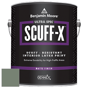 Benjamin Moore 484 Ultra Spec SCUFF-X Interior Matte Finish краска цвет AF-475 