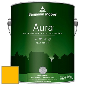 Benjamin Moore Aura 629 Waterborne Exterior Flat Finish краска цвет 2021-20 Lemon