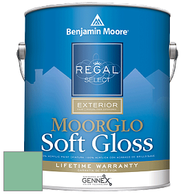 Benjamin Moore W096 Regal Select Exterior Paint-Moor GloSoft Gloss Finish краска цвет 586 Northern Lights
