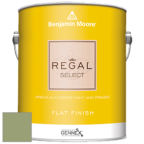 Benjamin Moore 547 Regal Select Waterborne Interior Flat Finish краска цвет NCS S 3030-G40Y 