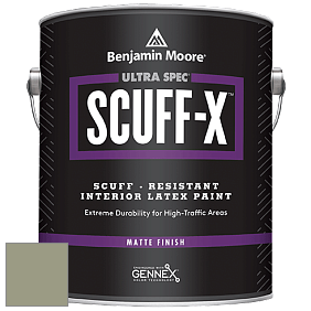 Benjamin Moore 484 Ultra Spec SCUFF-X Interior Matte Finish краска цвет HC-113 BM HC-113