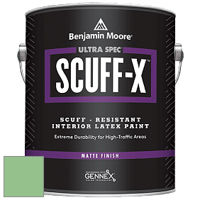 Benjamin Moore 484 Ultra Spec SCUFF-X Interior Matte Finish краска цвет 572 Branch Brook Green