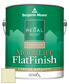 Benjamin Moore W105 Regal Select Exterior Paint-MoorLife Flat Finish краска цвет 400 Polar Lights