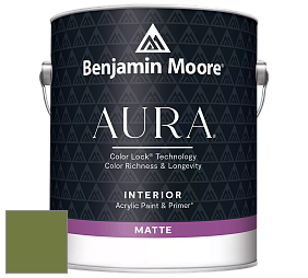 Benjamin Moore Aura 522 Interior Paint - Matte краска цвет NCS S 4050-G40Y 