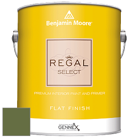 Benjamin Moore 547 Regal Select Waterborne Interior Flat Finish краска цвет NCS S 5040-G40Y 