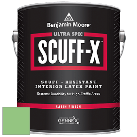 Benjamin Moore 486 Ultra Spec SCUFF-X Interior Satin Finish краска цвет NCS S 1050-G20Y 