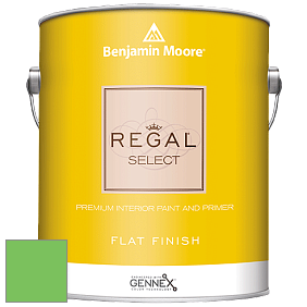 Benjamin Moore 547 Regal Select Waterborne Interior Flat Finish краска цвет NCS S 0570-G20Y 