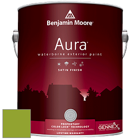 Benjamin Moore Aura 631 Waterborne Exterior Satin Finish краска цвет 2028-20 Douglas Fir
