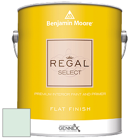 Benjamin Moore 547 Regal Select Waterborne Interior Flat Finish краска цвет 849 Carried Away