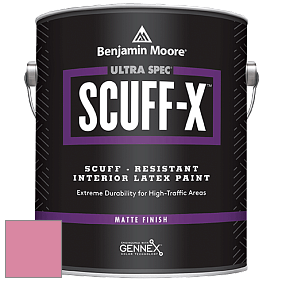 Benjamin Moore 484 Ultra Spec SCUFF-X Interior Matte Finish краска цвет NCS S 1050-R20B 