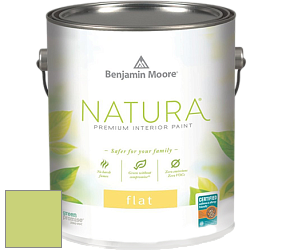 Benjamin Moore 512 Natura Interior Flat Finish матовая краска цвет 417 Feel the Energy