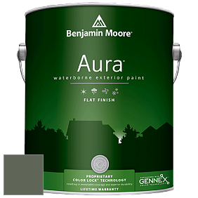 Benjamin Moore Aura 629 Waterborne Exterior Flat Finish краска цвет AF-480 