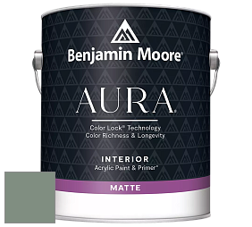 Benjamin Moore Aura 522 Interior Paint - Matte краска цвет 699 Garden Oasis