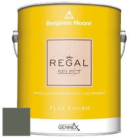 Benjamin Moore 547 Regal Select Waterborne Interior Flat Finish краска цвет AF-480 