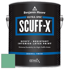 Benjamin Moore 485 Ultra Spec SCUFF-X Interior Eggshell Finish краска цвет NCS S 2040-G 