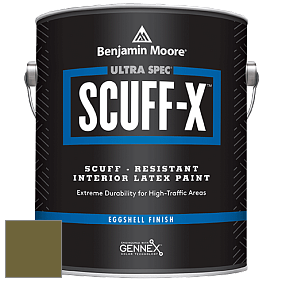 Benjamin Moore 485 Ultra Spec SCUFF-X Interior Eggshell Finish краска цвет NCS S 5540-G70Y 