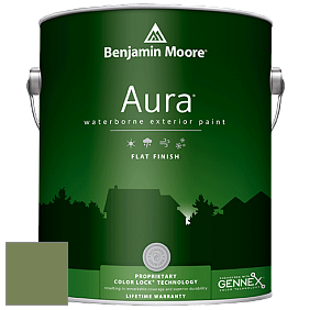 Benjamin Moore Aura 629 Waterborne Exterior Flat Finish краска цвет 546 Courtyard Green