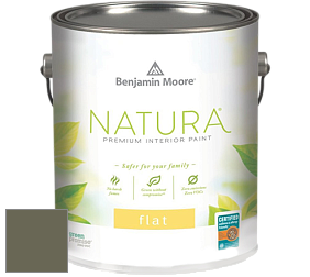 Benjamin Moore 512 Natura Interior Flat Finish матовая краска цвет 476 Jade Romanesque