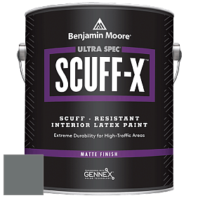 Benjamin Moore 484 Ultra Spec SCUFF-X Interior Matte Finish краска цвет 1595 Rocky Coast
